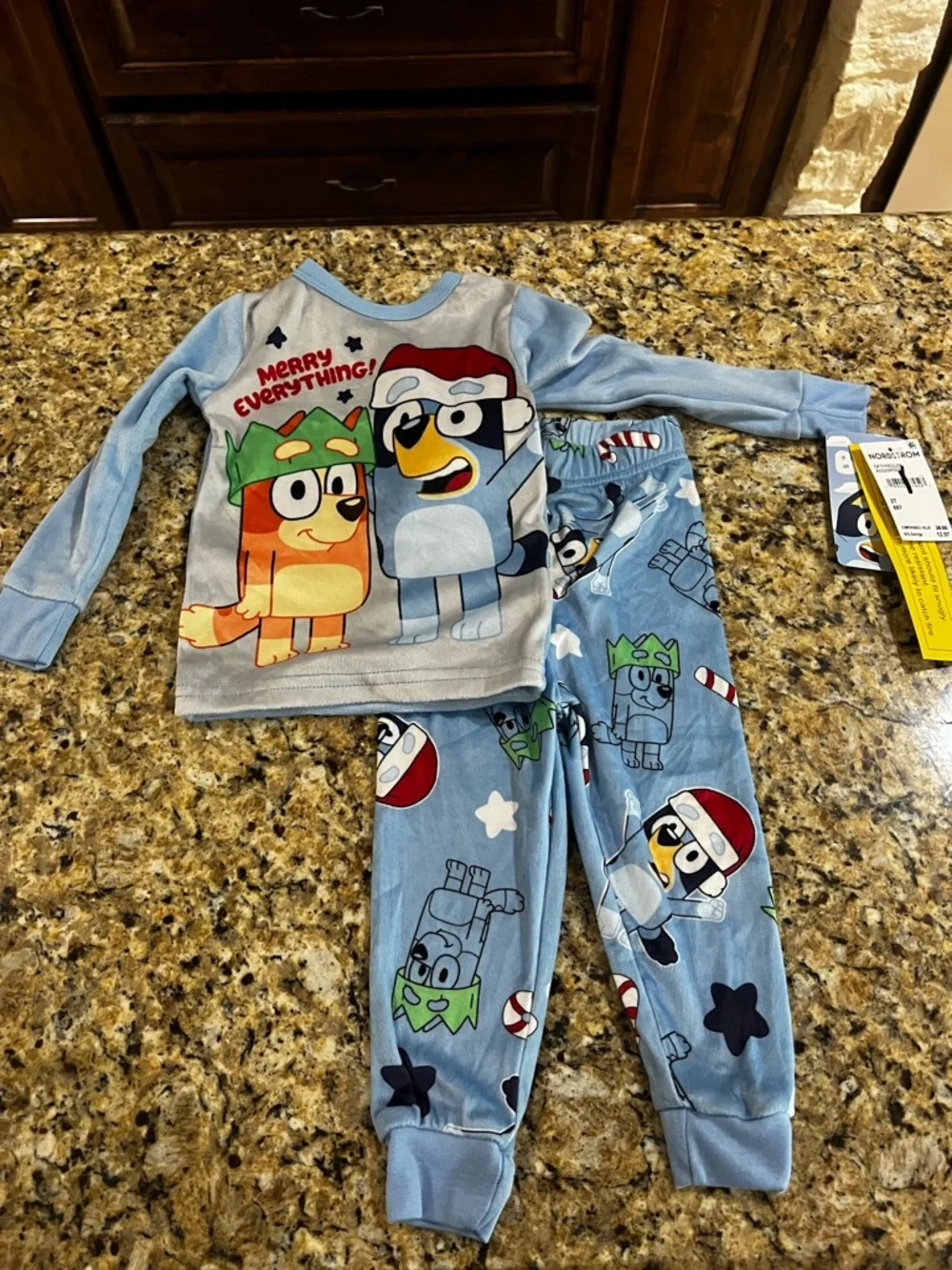 New - Bluey Christmas Pajama Set | Size 2T | Merry Everything! | Nordstrom